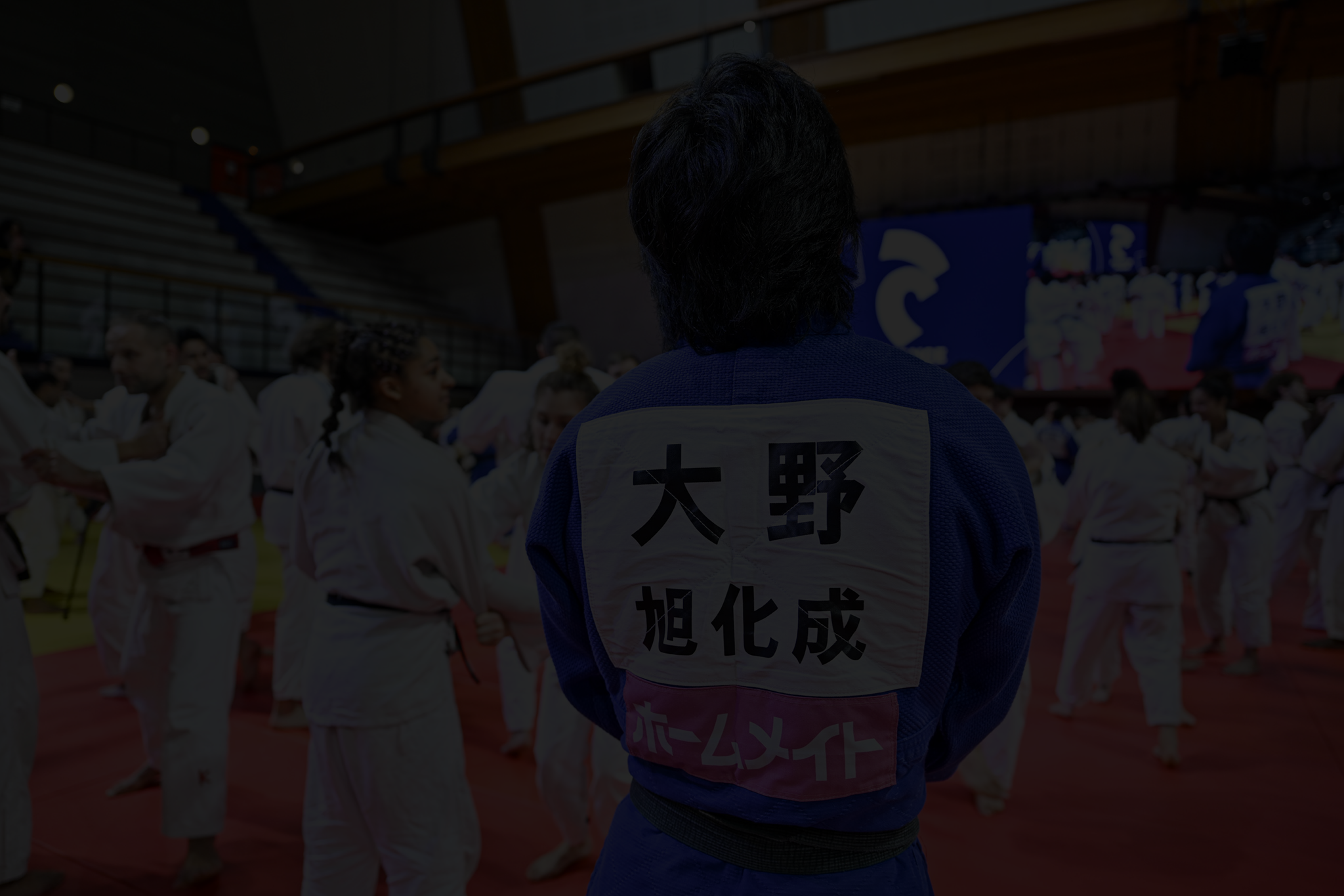 shutterstock_2445352871a